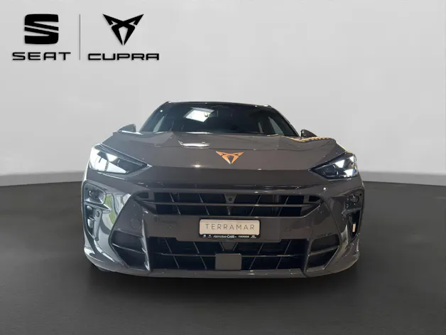 Cupra Terramar 2.0 TSI DSG 4Drive VZ