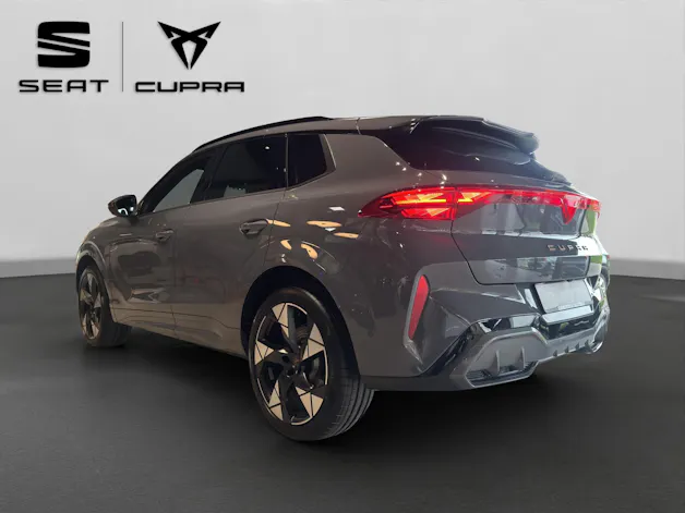 Cupra Terramar 2.0 TSI DSG 4Drive VZ