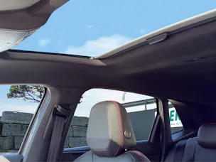 VW Polo 2.0 TSI GTI DSG