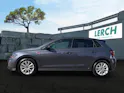 VW Polo 2.0 TSI GTI DSG
