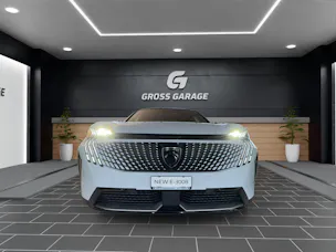 Peugeot 3008 NEW 73kWh GT