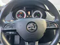 Škoda Octavia Combi 2.0 TSI Ambition 4x4 DSG
