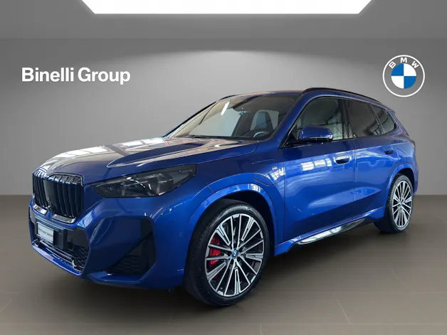 BMW X1 30e xDrive paddles