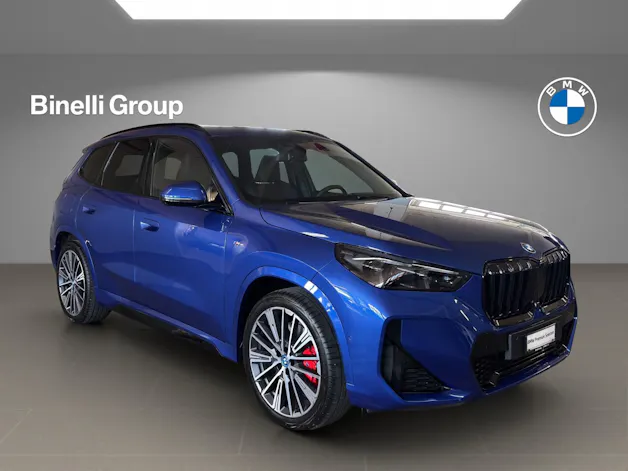BMW X1 30e xDrive paddles