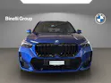 BMW X1 30e xDrive paddles