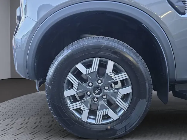 Ford Ranger dcab.pick-up 2.0 EcoBlue 4x4 Wildtrak