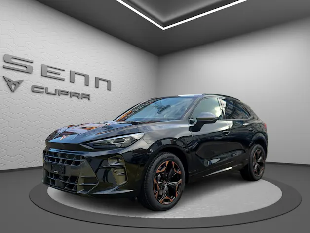 Cupra Terramar 2.0 TSI DSG 4Drive VZ