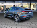 Audi Q6 Sportback e-tron quattro Daytonagrau Perleffekt