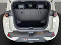 BYD Dolphin Surf Comfort