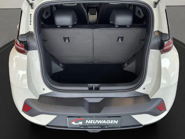BYD Dolphin Surf Comfort
