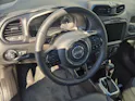 Jeep Renegade 1.3 S Sky 4xe
