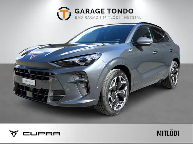 Cupra Terramar 2.0 TSI Prime Edition 4Drive DSG