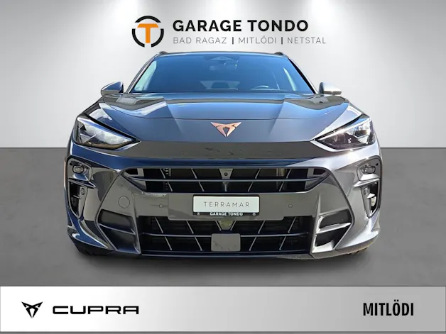 Cupra Terramar 2.0 TSI Prime Edition 4Drive DSG