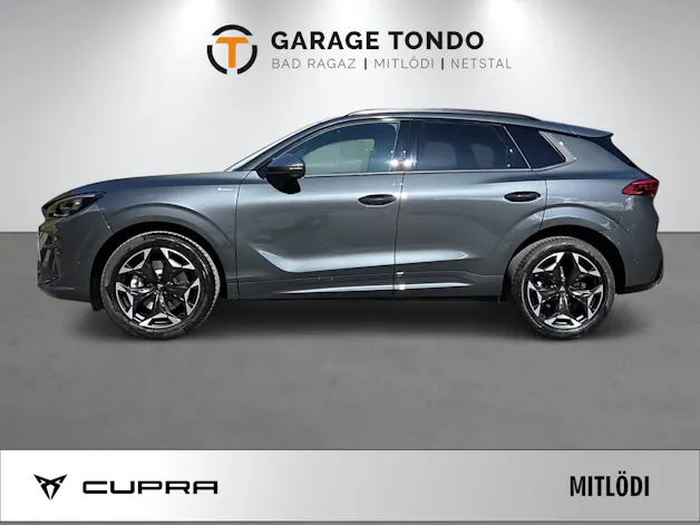 Cupra Terramar 2.0 TSI Prime Edition 4Drive DSG