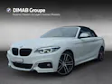 BMW 230i M Sport Cabrio Steptronic F23 (CH)