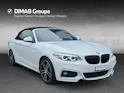 BMW 230i M Sport Cabrio Steptronic F23 (CH)