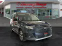 Ford Tourneo Connect 1.5 EcoBoost 150 Active PHEV