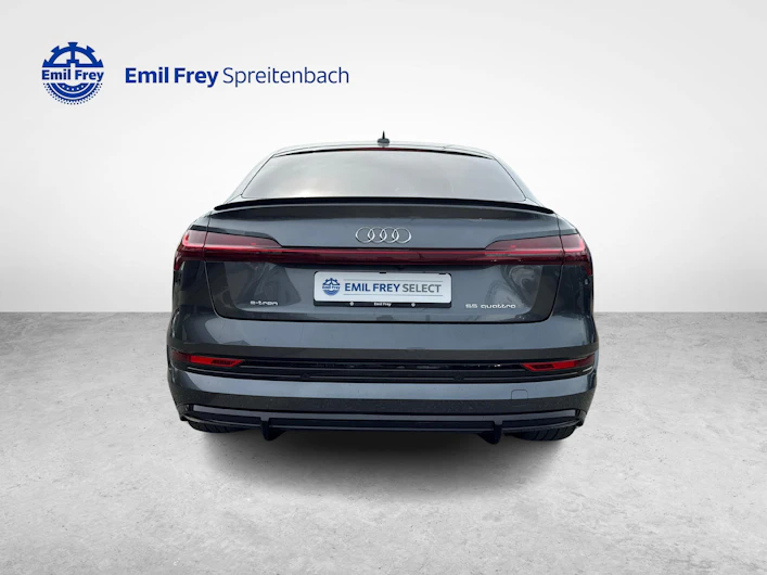 Fahrzeugbild AUDI e-tron