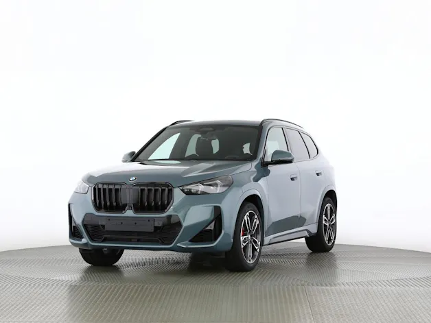 BMW X1 23i xDrive paddles