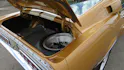 Ford MUSTANG Shelby GT 500 7.0 L