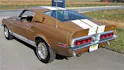Ford MUSTANG Shelby GT 500 7.0 L
