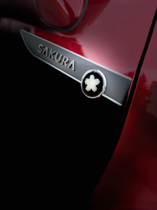 immagine del veicolo 15