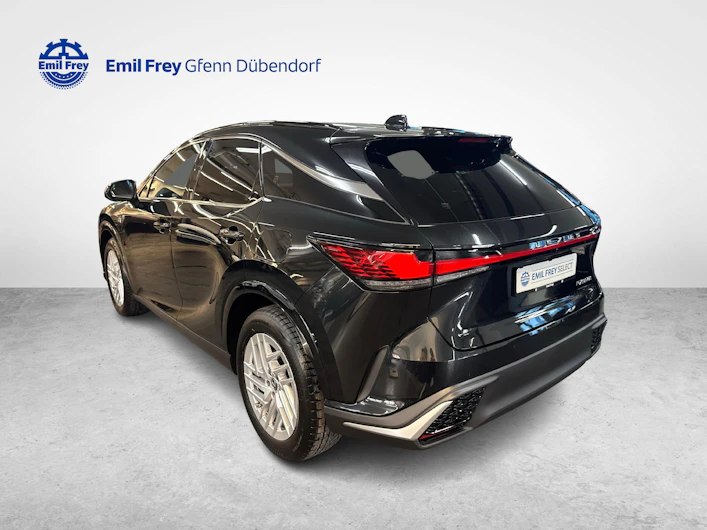 Fahrzeugbild LEXUS RX