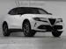Alfa Romeo Junior 1.2 Sport Speciale