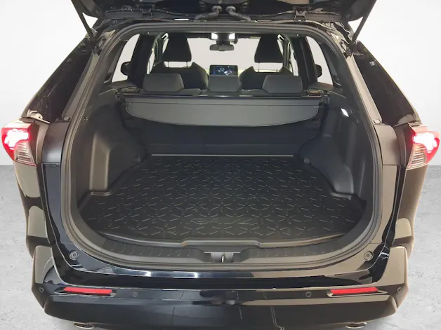 Toyota RAV4 2.5 Plug-In-Hybrid Trend