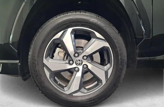 Toyota RAV4 2.5 Plug-In-Hybrid Trend