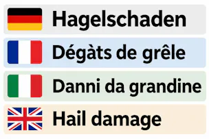 VW Polo 1.0 TSI Life DSG
