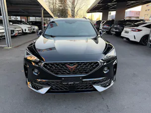 Cupra Formentor 2.0TSI VZ 4Drive DSG