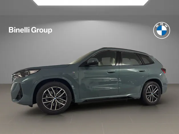 BMW X1 23i xDrive paddles