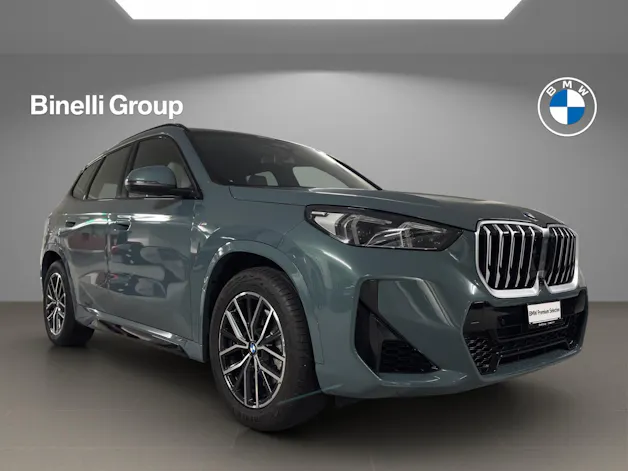BMW X1 23i xDrive paddles