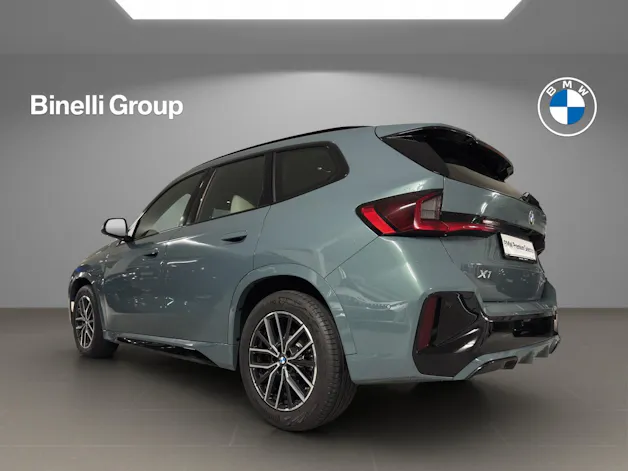 BMW X1 23i xDrive paddles