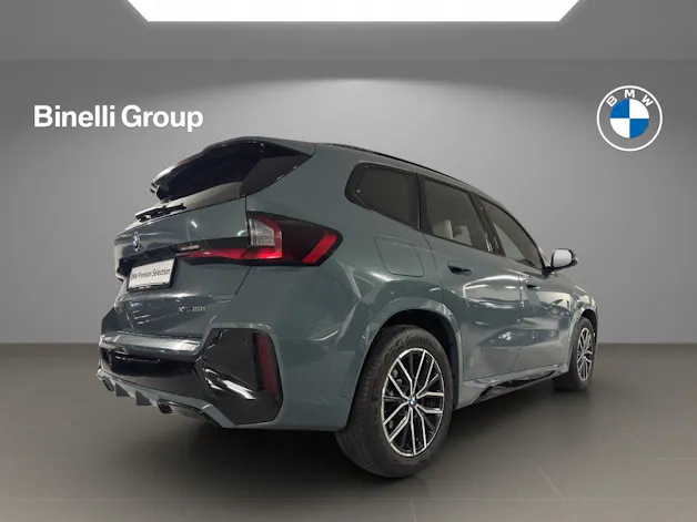 BMW X1 23i xDrive paddles