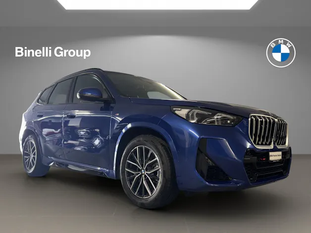 BMW X1 23i xDrive paddles