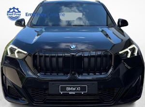 immagine del veicolo BMW X1 20d xDrive paddles