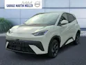 BYD Dolphin Surf Comfort FWD