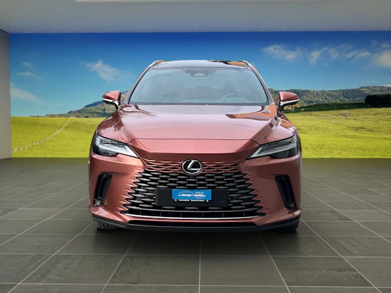 image du véhicule 7