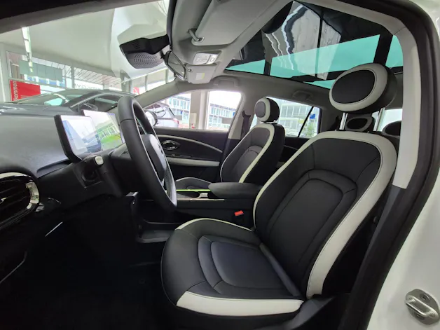 JAC E30X Electric