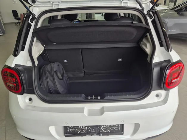 JAC E30X Electric