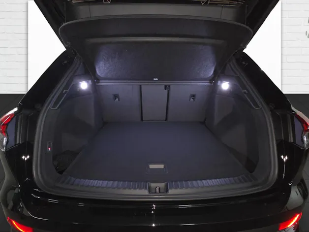 Audi Q4 e-tron 45 Edition Swiss Ski quattro