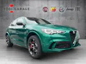 Alfa Romeo Stelvio 2.9 V6 Biturbo Q4 Quadrifoglio SKY