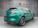 Alfa Romeo Stelvio 2.9 V6 Biturbo Q4 Quadrifoglio SKY