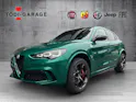 Alfa Romeo Stelvio 2.9 V6 Biturbo Q4 Quadrifoglio SKY