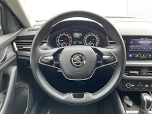 Škoda Kamiq 1.0 TSI Style DSG