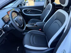 JAC E30X