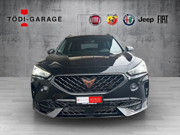 Cupra Formentor 2.0 TSI 4Drive DSG