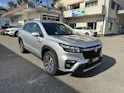 Suzuki S-Cross 1.4 T Sakura Top Hybrid 4x4